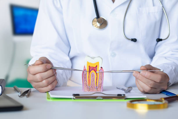 Best Broken Tooth Emergency  in Mount Olive, AL